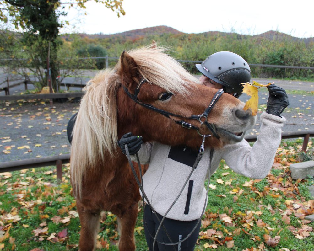 048CC9D5-4FCA-4933-8F09-7C002AACC804 048CC9D5-4FCA-4933-8F09-7C002AACC804