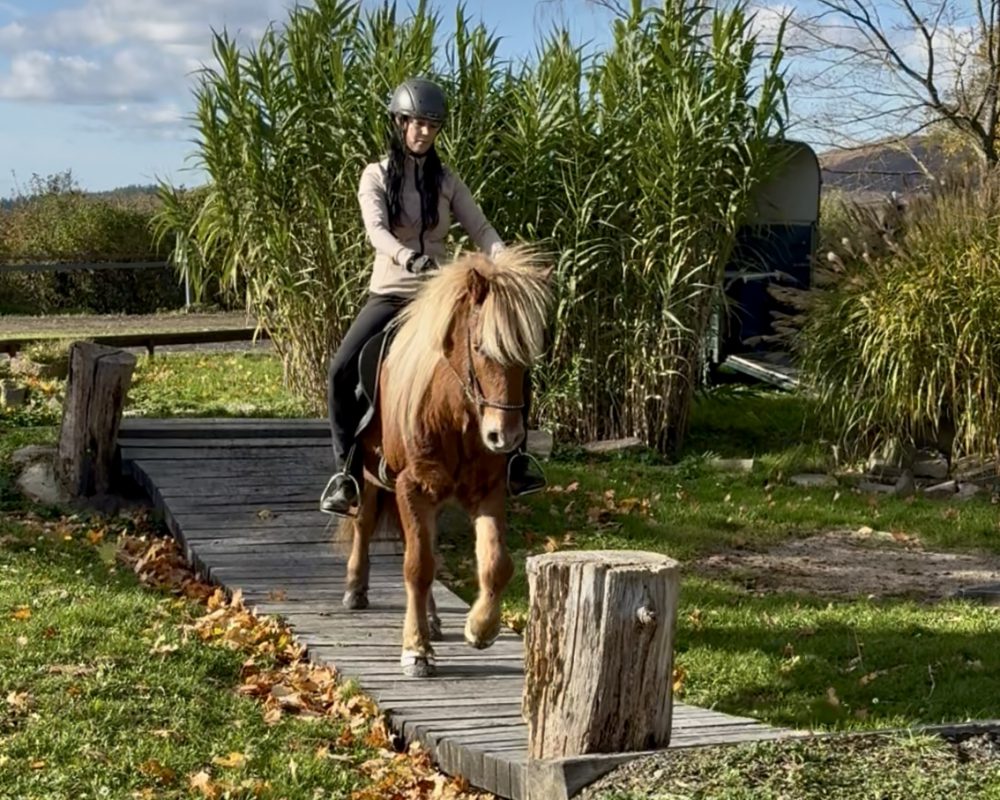 07EEEE58-30B5-4C65-B3C9-077439A9E51D 07EEEE58-30B5-4C65-B3C9-077439A9E51D