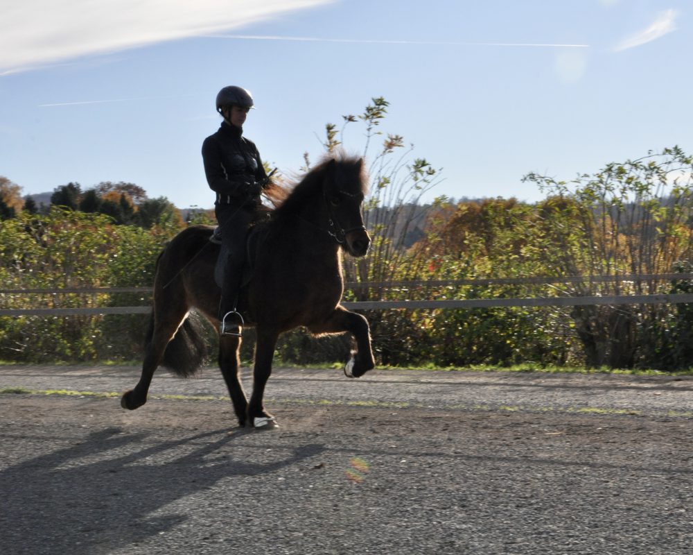 151EE5BD-F650-449E-8254-4EE37FBC2FC0 151EE5BD-F650-449E-8254-4EE37FBC2FC0