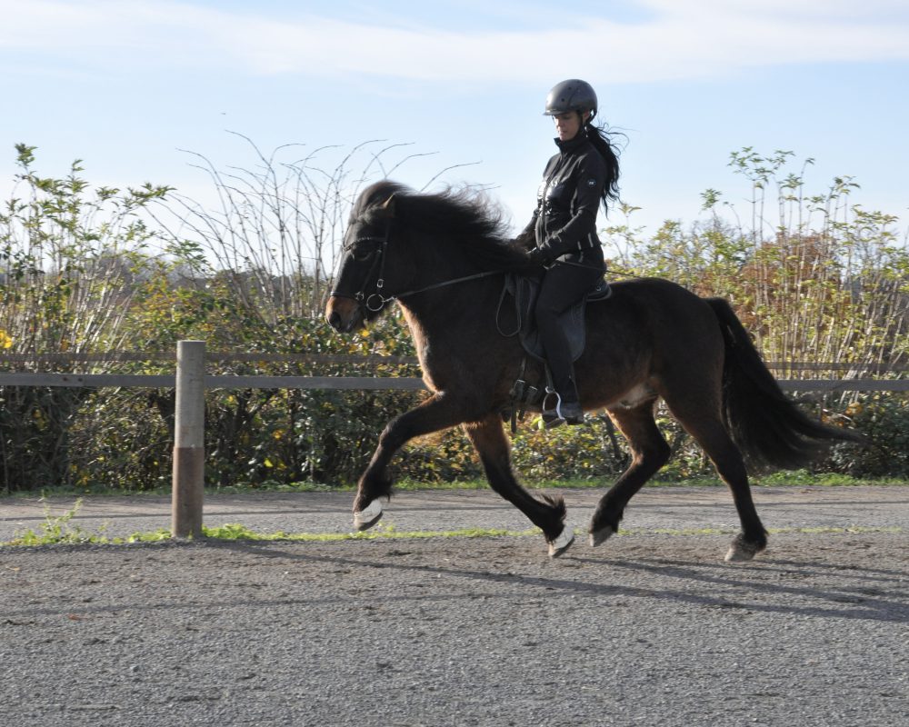 2AFBDA84-F683-4A35-8D09-C829DAE703EB 2AFBDA84-F683-4A35-8D09-C829DAE703EB