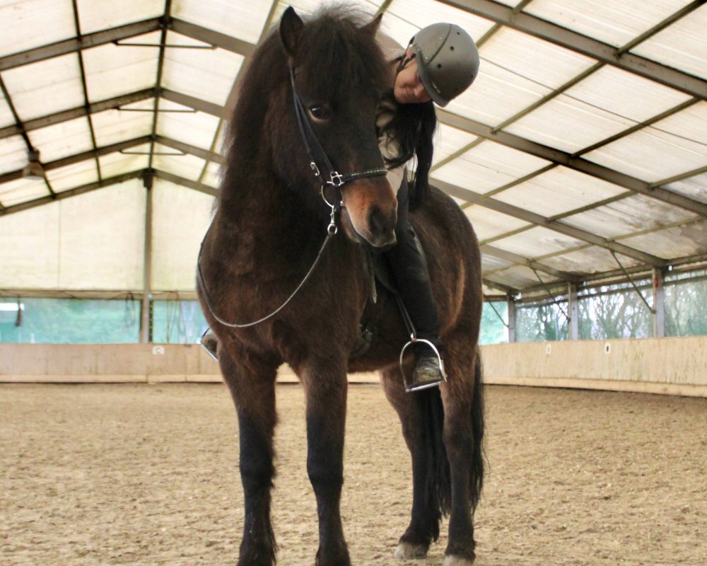 48FCD3A9-3EDF-450E-BA77-86CF67C2BA72 48FCD3A9-3EDF-450E-BA77-86CF67C2BA72