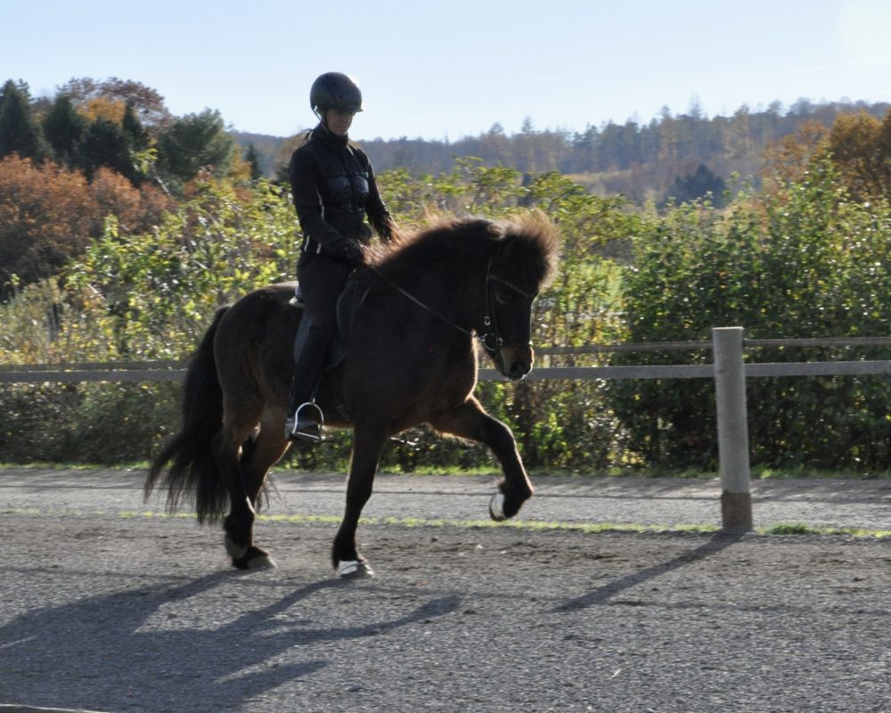 4D86B367-61AC-4671-9193-03894C40F822 4D86B367-61AC-4671-9193-03894C40F822