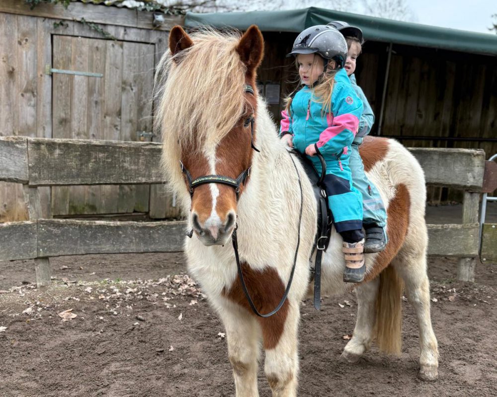 52B99850-C340-4D80-8FA2-7D9A891113CA 52B99850-C340-4D80-8FA2-7D9A891113CA