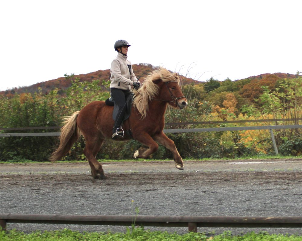 620C934A-5CC3-41DE-83E1-953F0049BC95 620C934A-5CC3-41DE-83E1-953F0049BC95