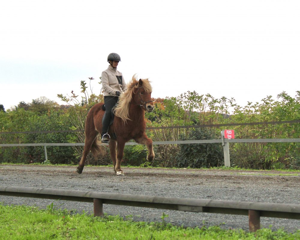 701B070F-E240-4DBD-B652-4A1666CE6987 701B070F-E240-4DBD-B652-4A1666CE6987