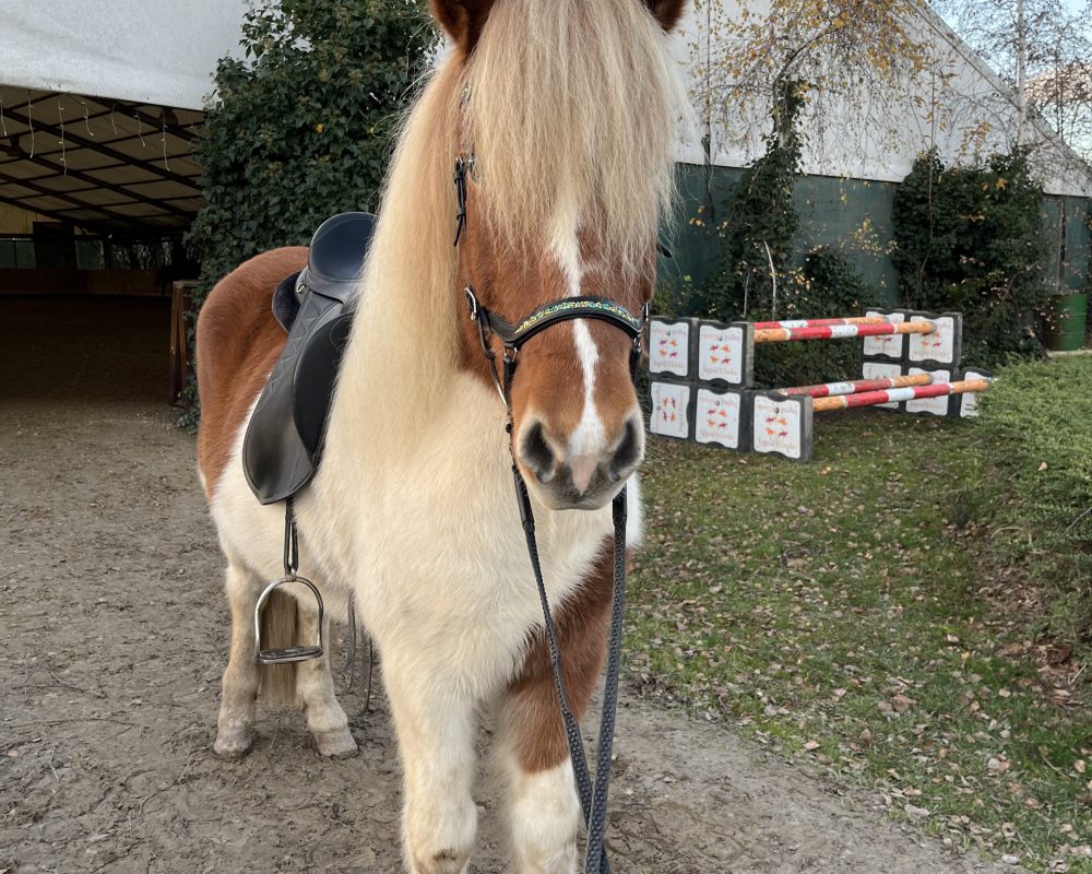 7B670BB4-0EA5-4B13-AB7A-C51BCE661111 7B670BB4-0EA5-4B13-AB7A-C51BCE661111