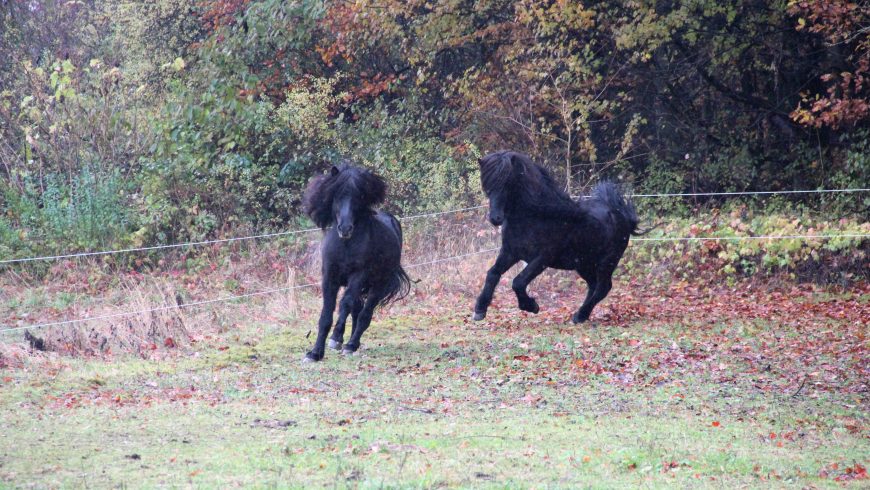 Wohlverdiente Winterpause