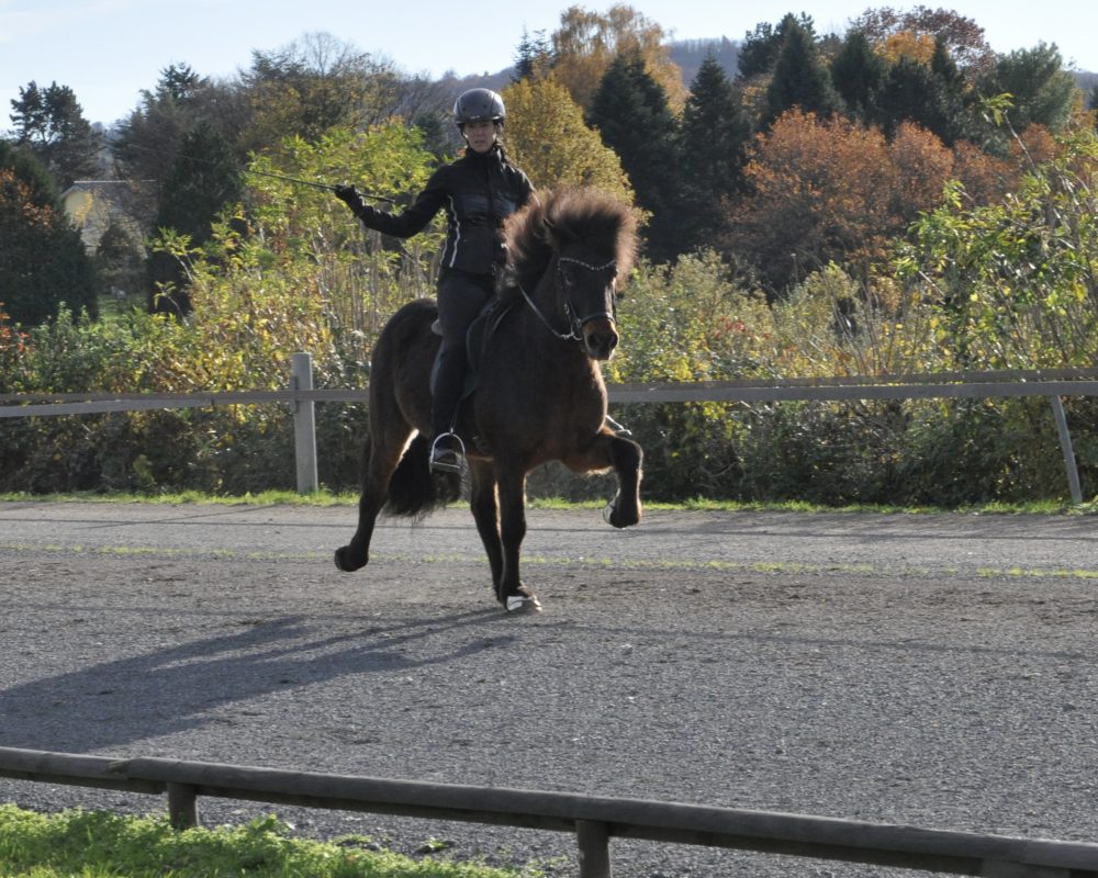 8773F75B-267F-4AA1-9C54-5AA637F61CB1 8773F75B-267F-4AA1-9C54-5AA637F61CB1