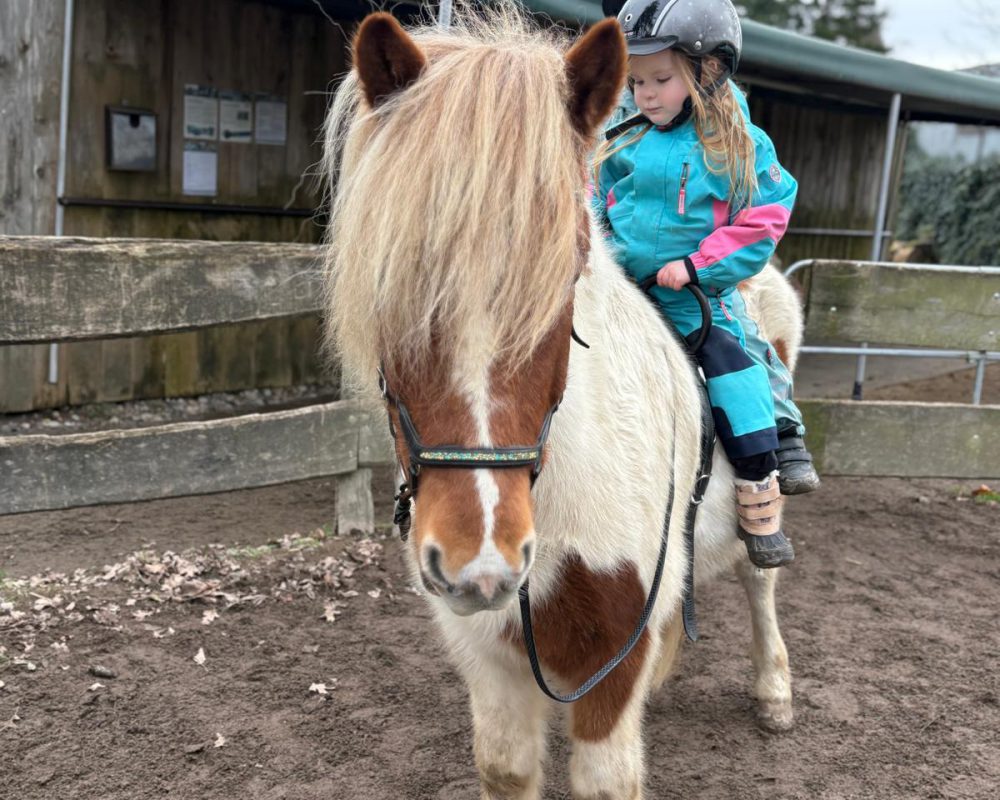 9C5CFD94-3379-4F6B-B6F9-B3022A74AE12 9C5CFD94-3379-4F6B-B6F9-B3022A74AE12