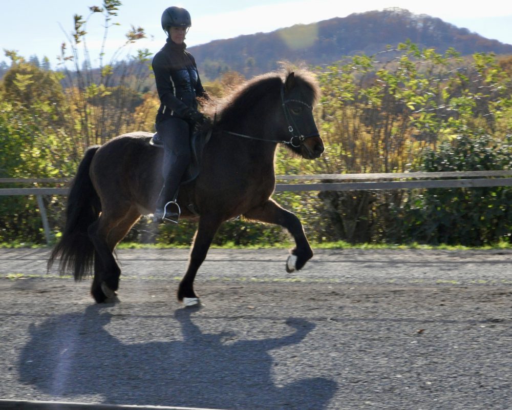 AD4CE408-5904-49A0-8E29-DA801CF84576 AD4CE408-5904-49A0-8E29-DA801CF84576