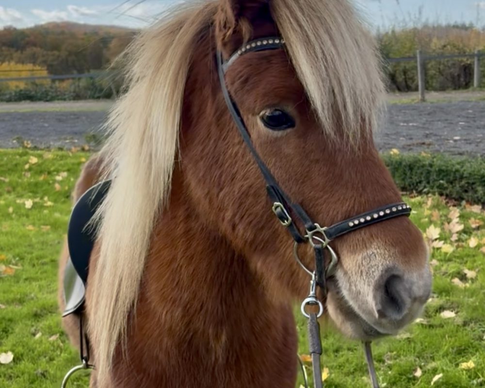 B7786D5B-EA73-4A05-B0B7-230B21B3803B B7786D5B-EA73-4A05-B0B7-230B21B3803B