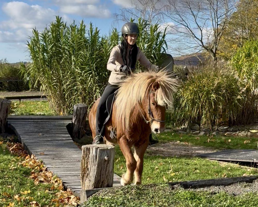 CA994AE1-E800-4705-B04A-A218B3FAD991 CA994AE1-E800-4705-B04A-A218B3FAD991