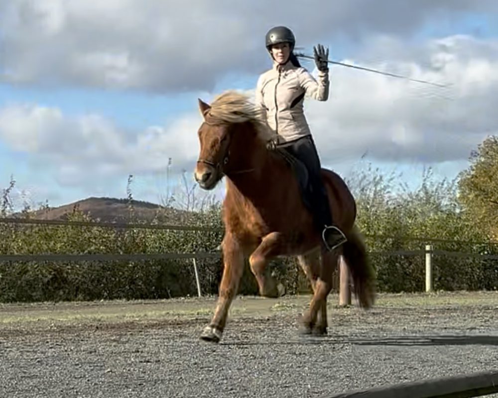 CCE86A44-7F64-4AF4-80ED-A665A6E308AD CCE86A44-7F64-4AF4-80ED-A665A6E308AD