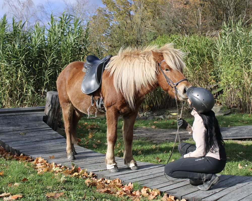 CD7CD718-4FC1-4CCD-8173-EE763A46F3D2 CD7CD718-4FC1-4CCD-8173-EE763A46F3D2