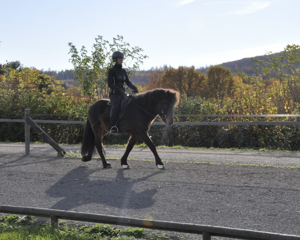 DCF01E76-EEC8-4158-9308-9952DBE7DD43 DCF01E76-EEC8-4158-9308-9952DBE7DD43