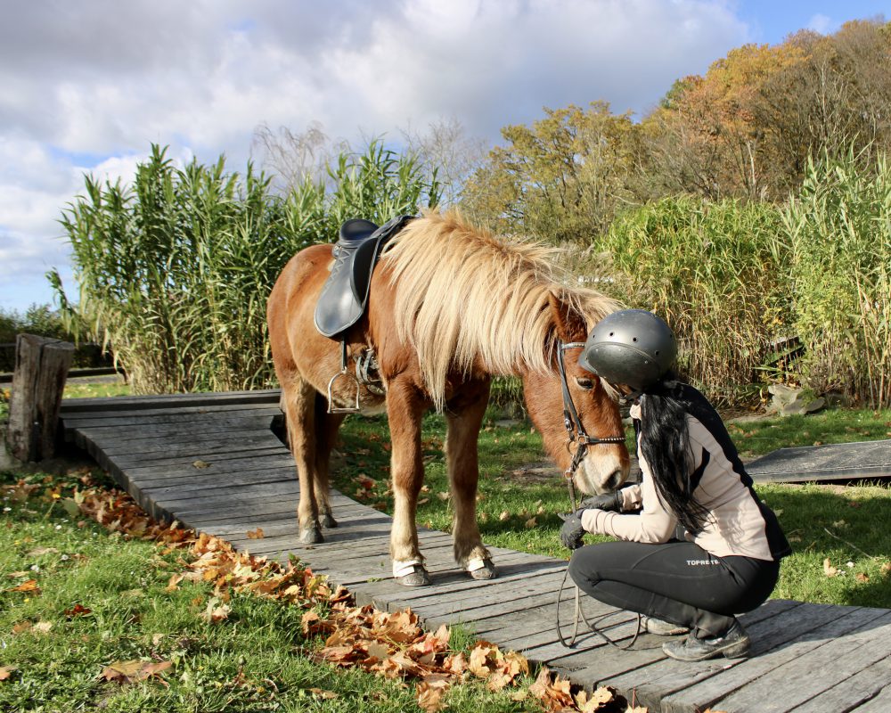 E1D68837-8307-4330-8F55-E860AF6C9702 E1D68837-8307-4330-8F55-E860AF6C9702