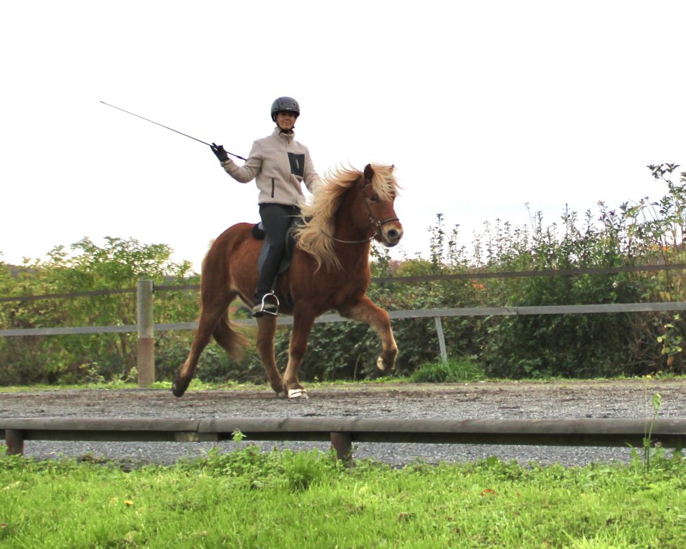 E5AD6897-9447-4099-B081-910268E8463A E5AD6897-9447-4099-B081-910268E8463A