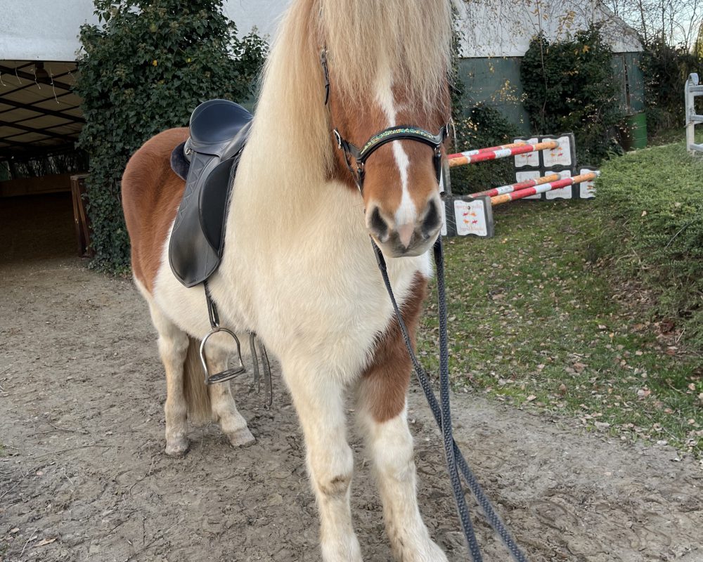 E5F44DC5-EB16-4869-8E7D-F625DF757BB5 E5F44DC5-EB16-4869-8E7D-F625DF757BB5