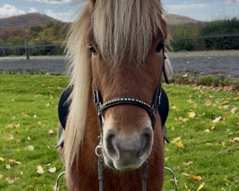 EEE53D6D-30A6-4224-8A6B-E3211987E7F1 EEE53D6D-30A6-4224-8A6B-E3211987E7F1