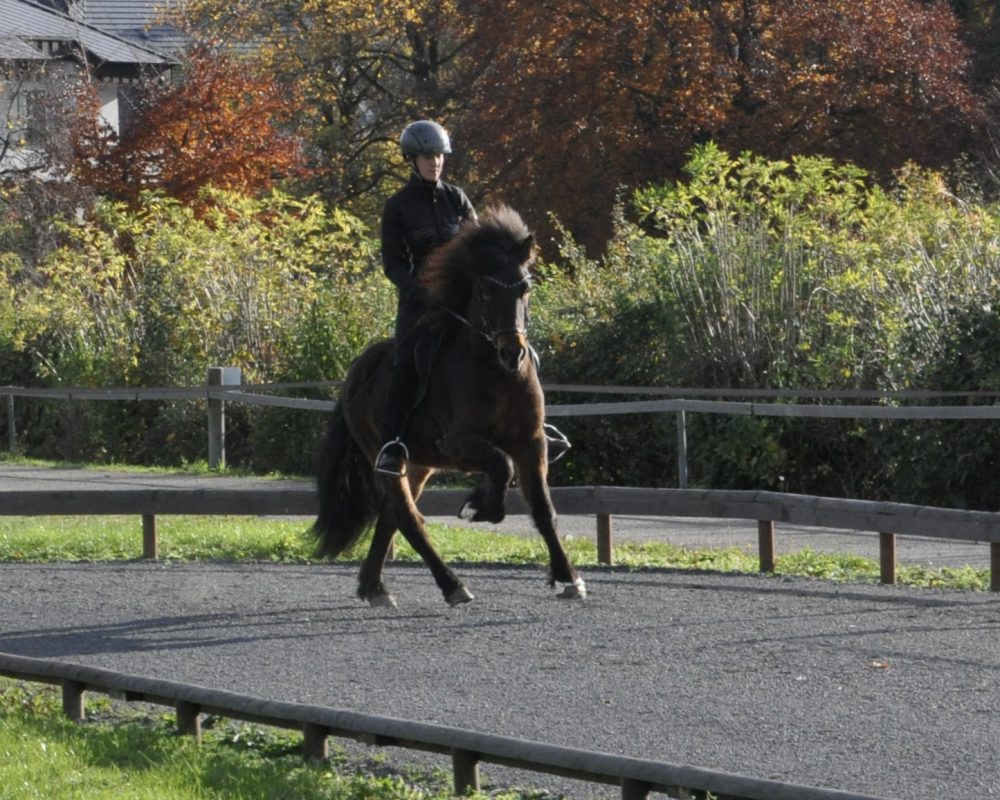 F6841B58-B33C-41C4-8C98-DDAC941D59AB F6841B58-B33C-41C4-8C98-DDAC941D59AB